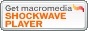 download shockwaveplayer